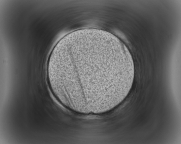 X0000083031479200703022015