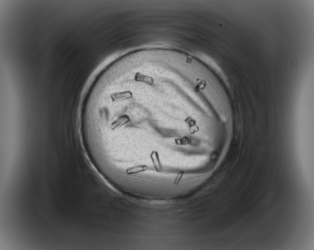 X0000083031480200703022015