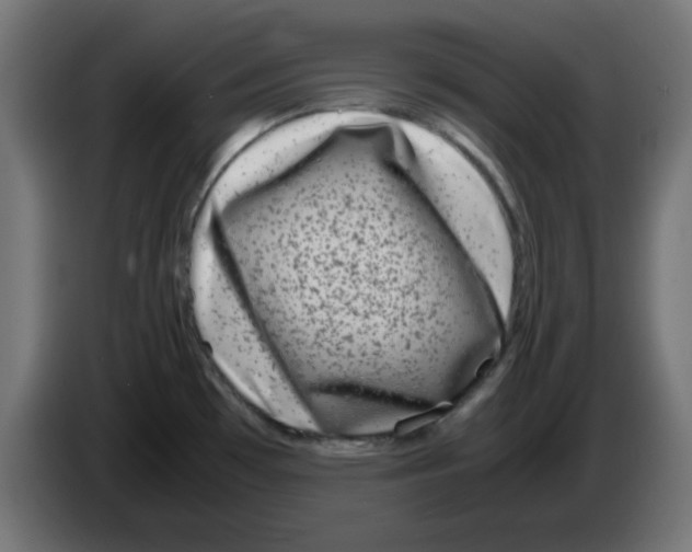 X0000083031481200703022015