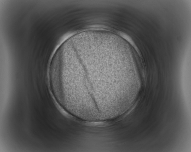 X0000083031482200703022015