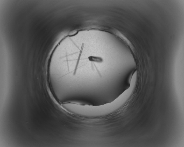 X0000083031483200703022015