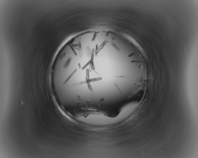 X0000083031484200703022015