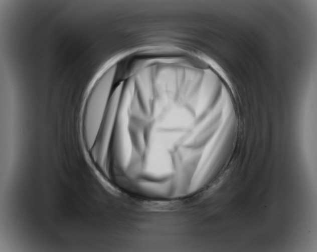 X0000083031485200703022015