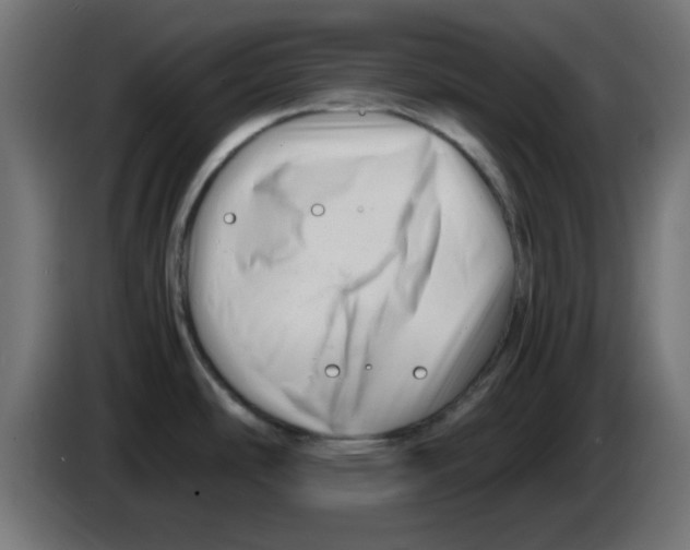 X0000083031486200703022015