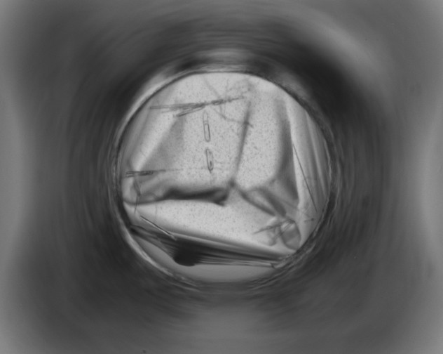 X0000083031487200703022015