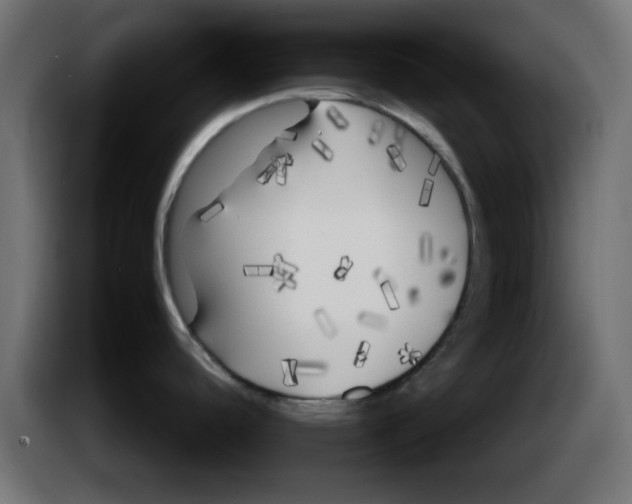 X0000083031488200703022015