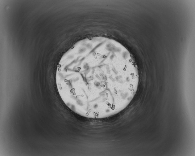 X0000083031489200703022014