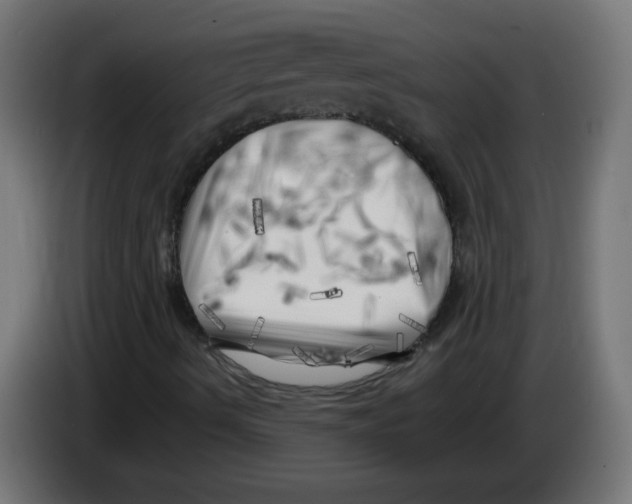 X0000083031490200703022014