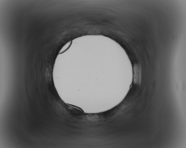 X0000083031491200703022014