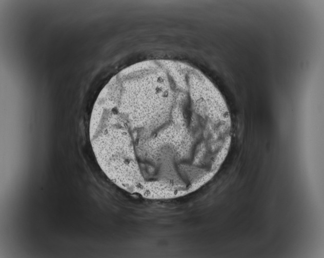 X0000083031493200703022014