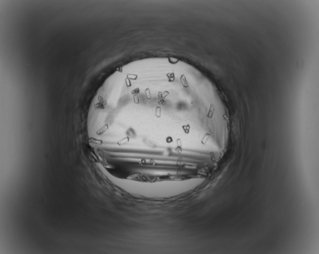 X0000083031494200703022014