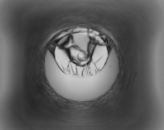 X0000083031496200703022014