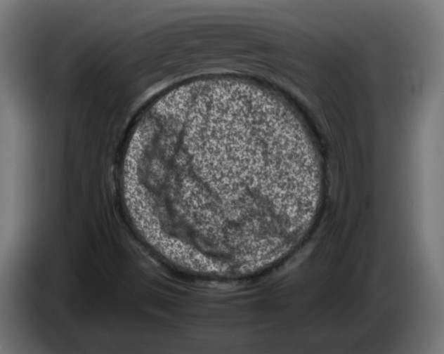 X0000083031497200703022014