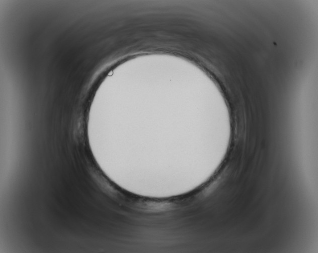 X0000083031498200703022014