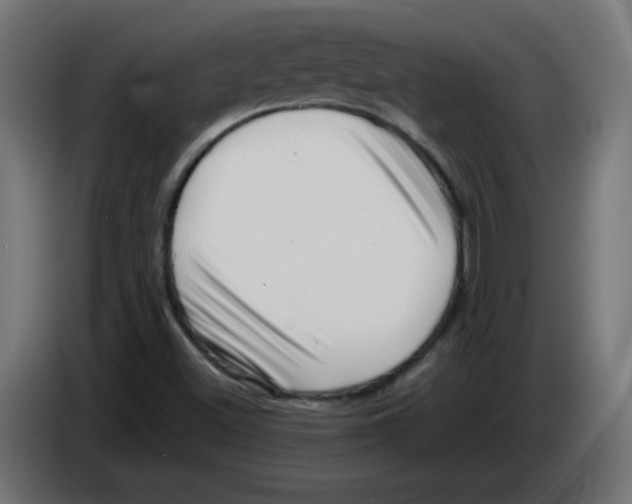 X0000083031500200703022014