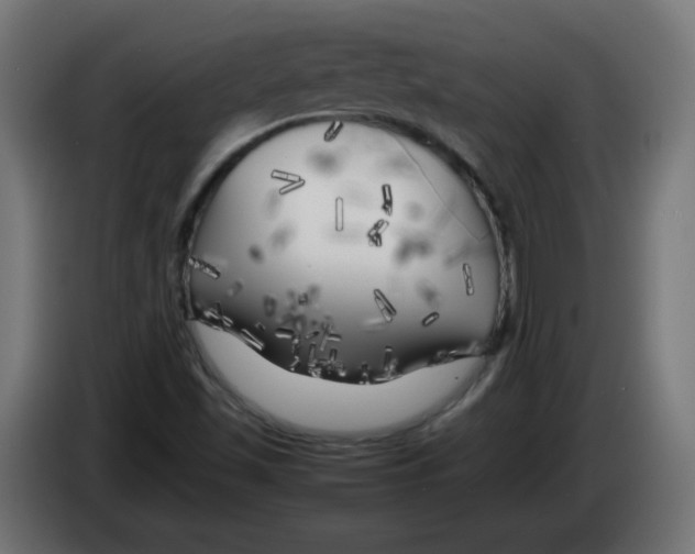 X0000083031501200703022014