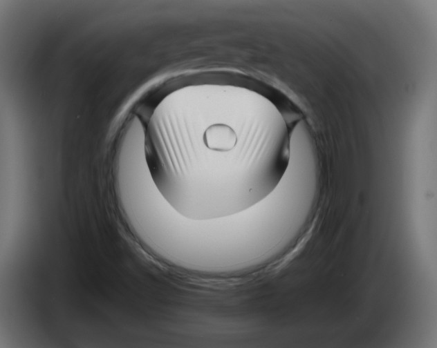 X0000083031502200703022014