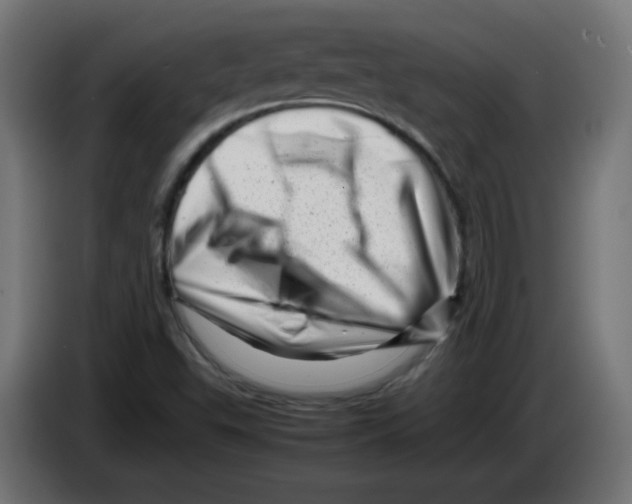 X0000083031503200703022014