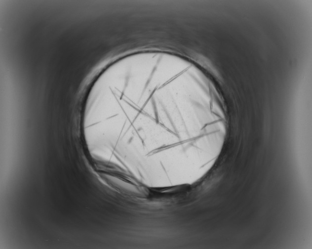 X0000083031504200703022014