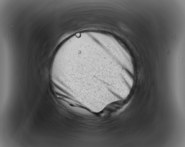 X0000083031505200703022014