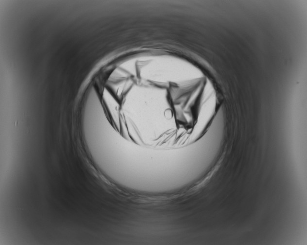 X0000083031506200703022014