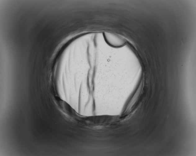 X0000083031507200703022014