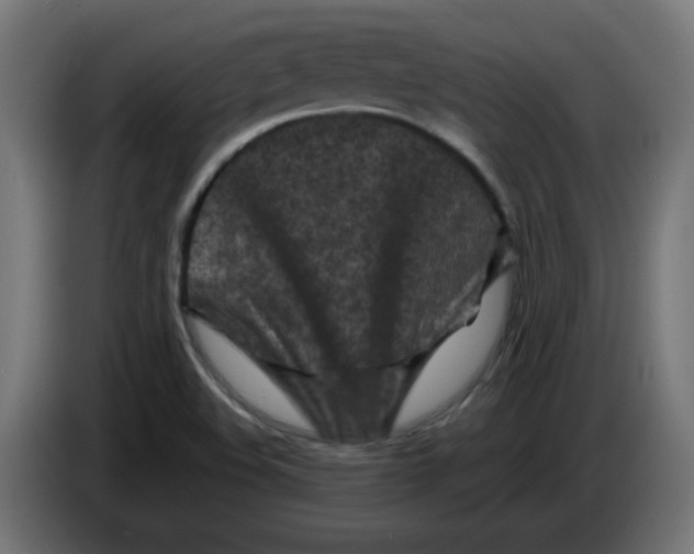 X0000083031508200703022014