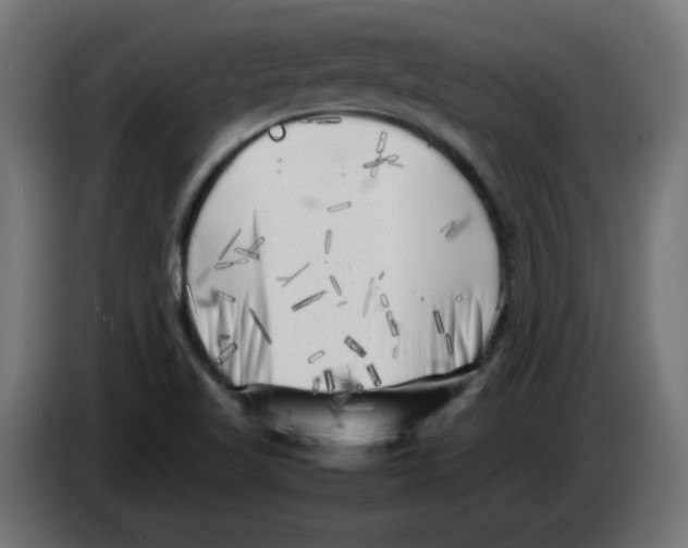 X0000083031509200703022014