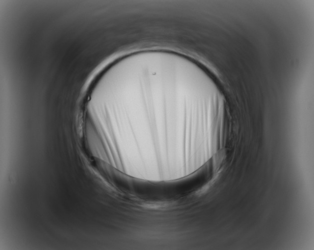 X0000083031510200703022014