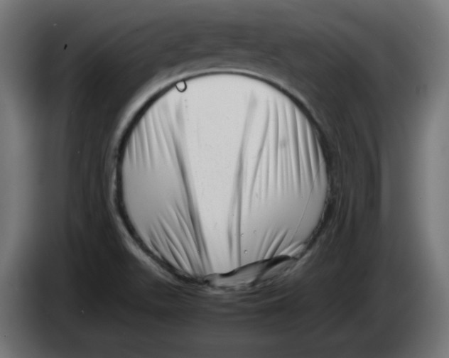 X0000083031511200703022014