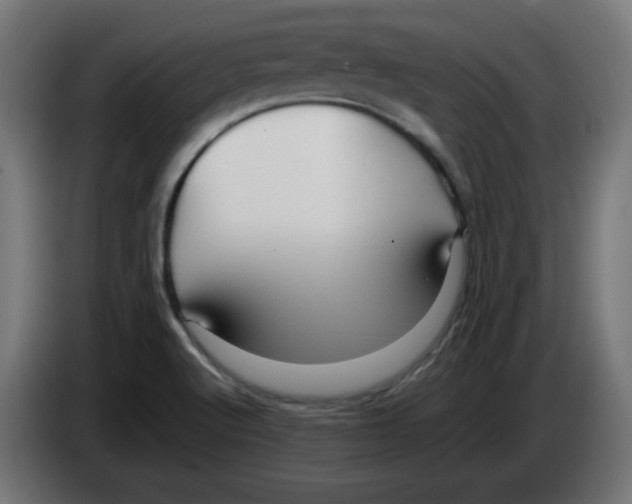 X0000083031512200703022014