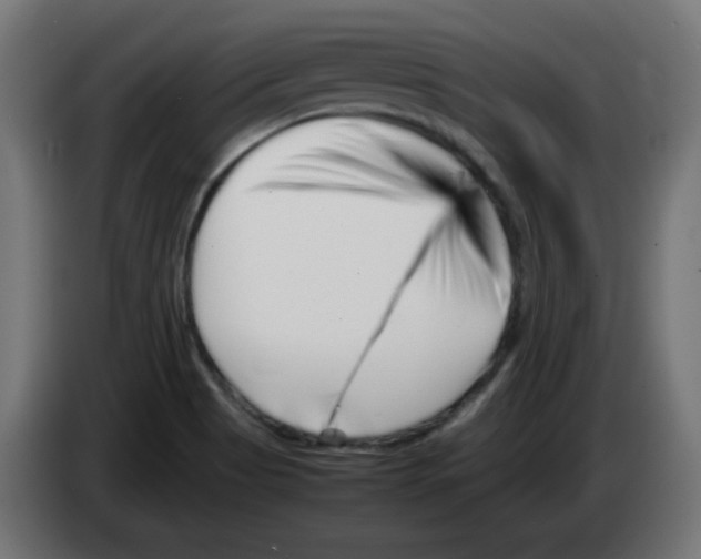 X0000083031513200703022014