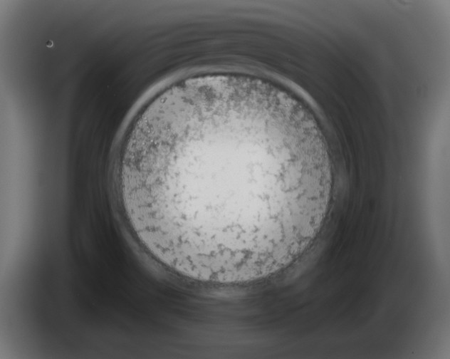 X0000083031514200703022015