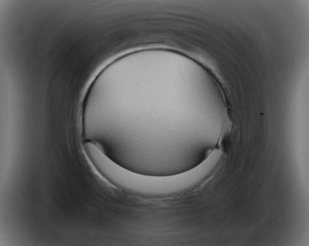 X0000083031516200703022015