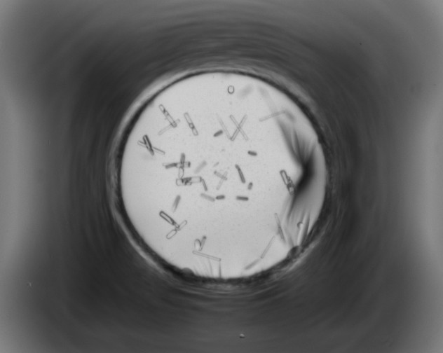 X0000083031517200703022015