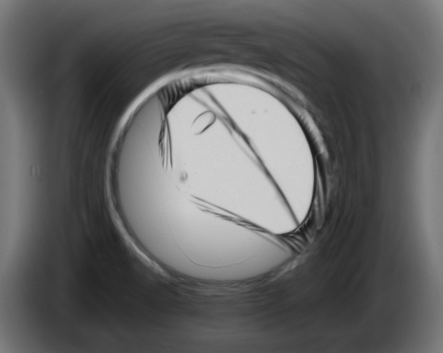 X0000083031518200703022015