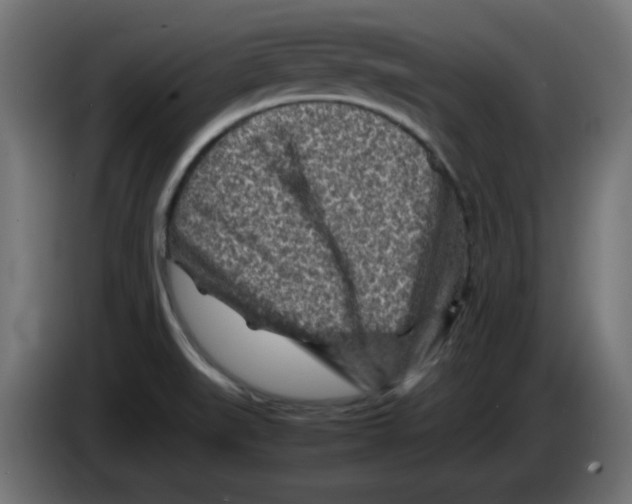 X0000083031519200703022015