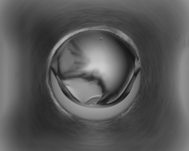 X0000083031520200703022015