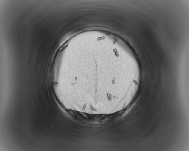 X0000083031521200703022015