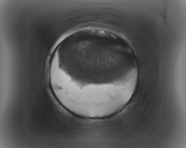 X0000083031522200703022015