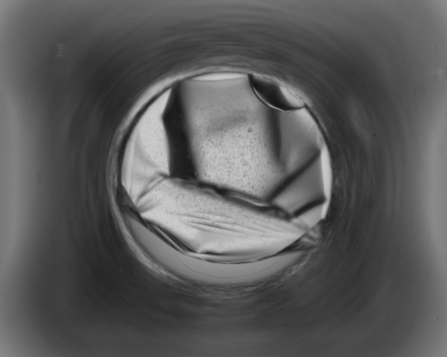 X0000083031523200703022015