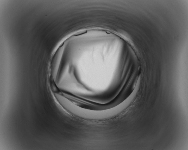 X0000083031524200703022015