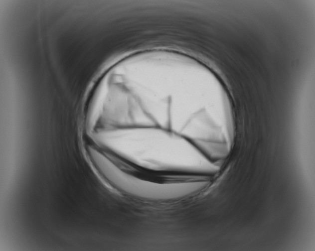 X0000083031525200703022015