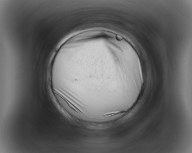 X0000083031526200703022015