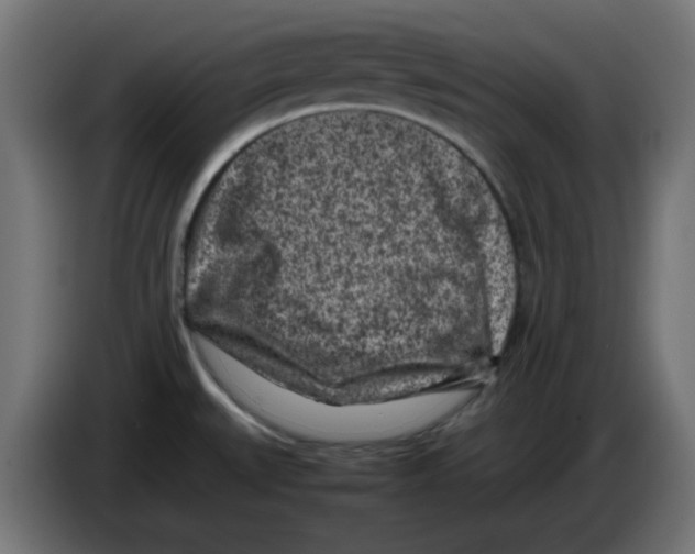 X0000083031527200703022015