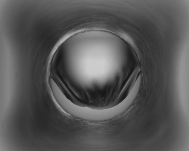 X0000083031528200703022015