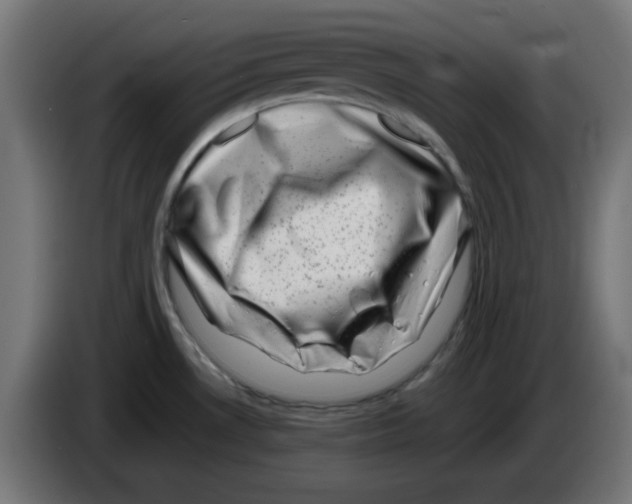 X0000083031530200703022015