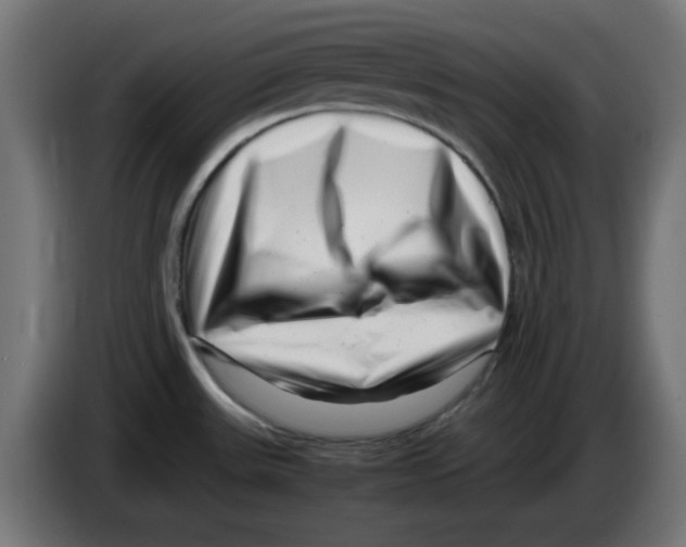 X0000083031531200703022015