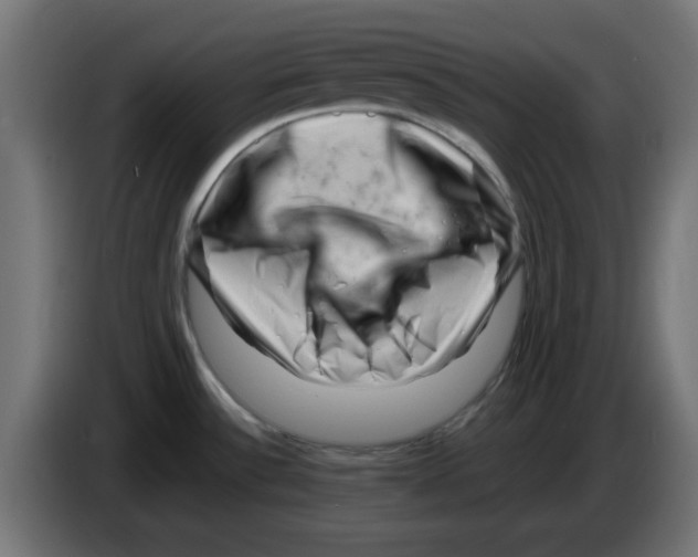 X0000083031532200703022015