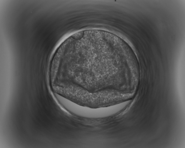 X0000083031533200703022015